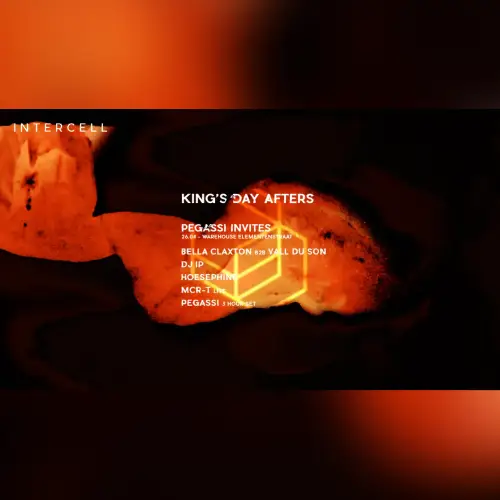 Intercell x Pegassi Invites - King's Day